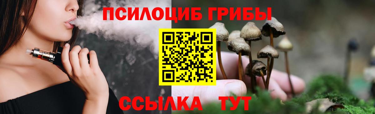 купить наркотики сайты  Вход с VPN  Шебекино  Галлюциногенные грибы Cubensis 