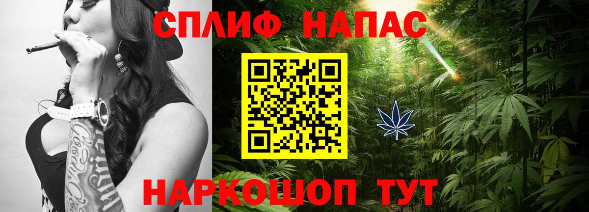 Конопля AK-47 Шебекино